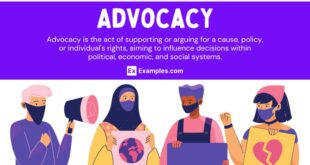 Organizations – Key Professional & Advocacy Groups